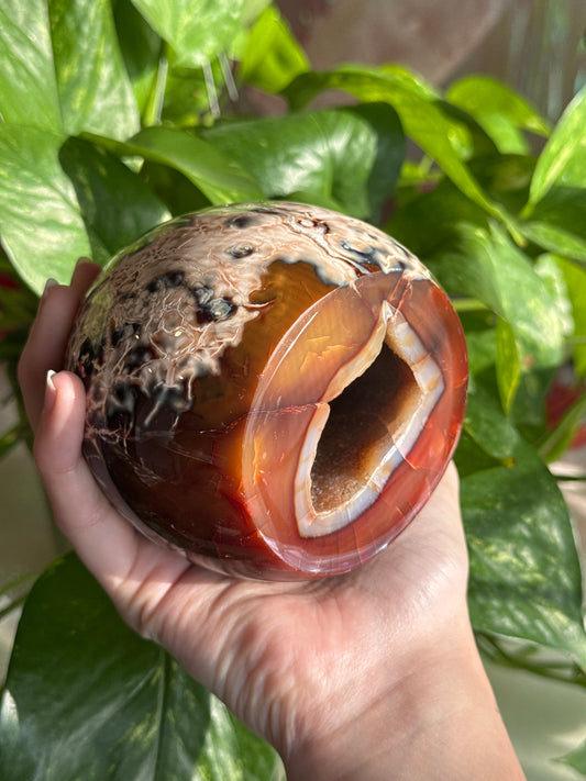 Unique Carnelian & Orca Agate Druzy Cave Freeform