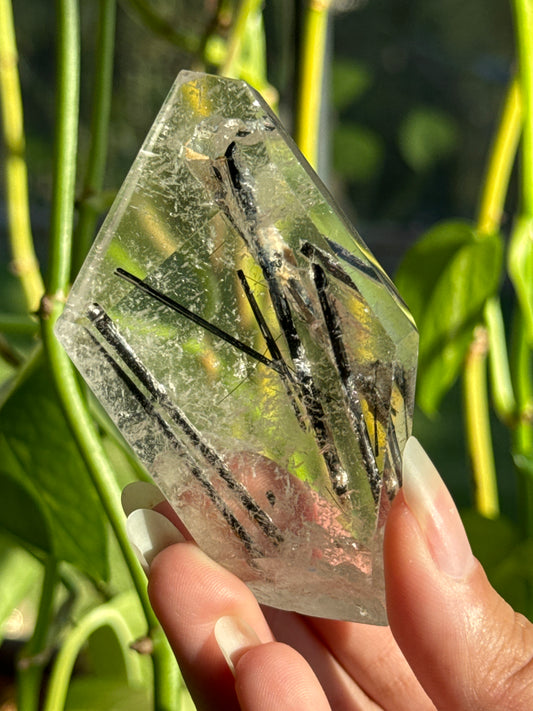 High Grade Black Tourmaline in Quartz Freeform