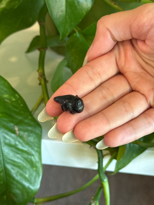 Obsidian Axolotl