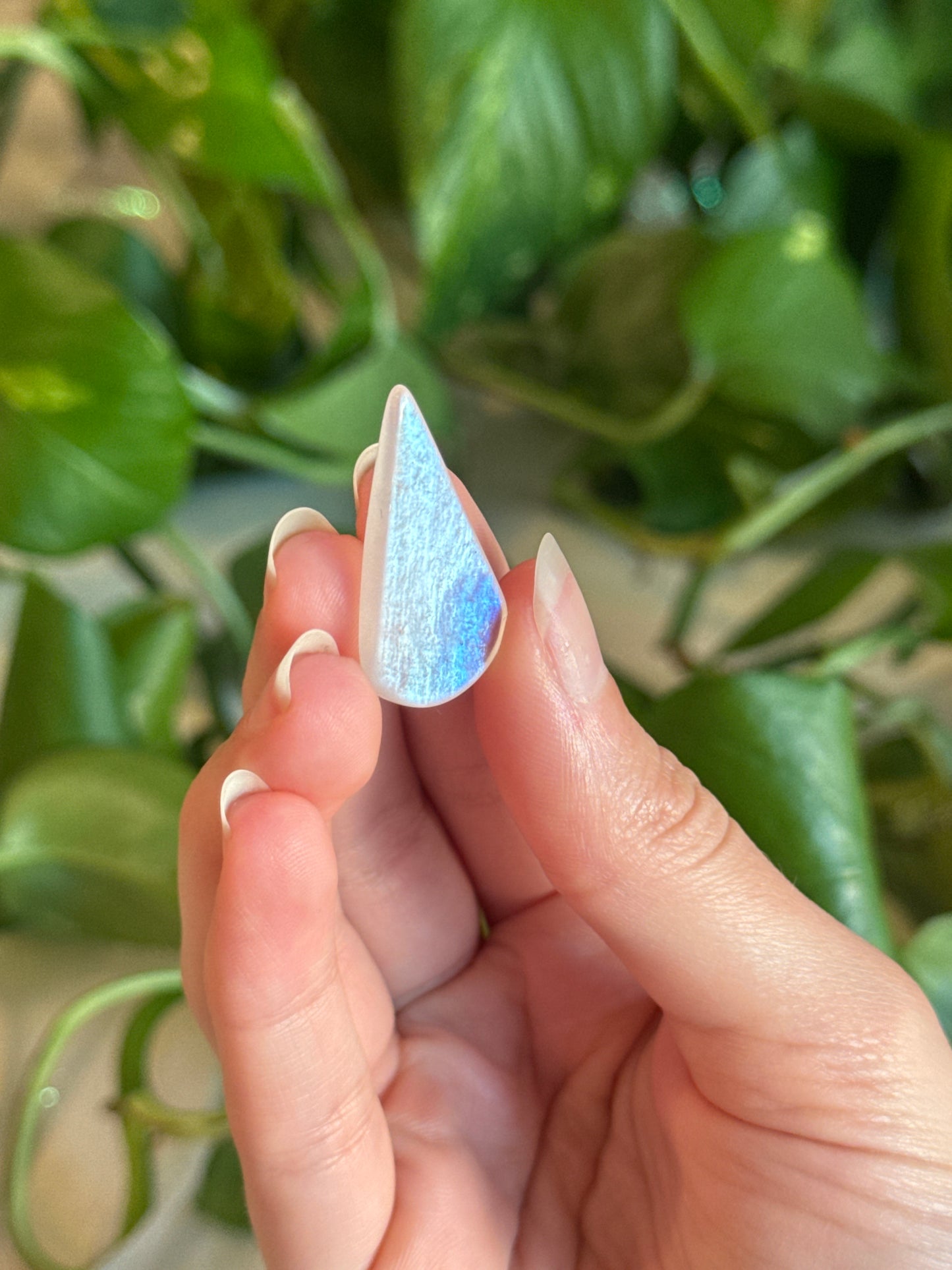 High Grade Moonstone Teardrop