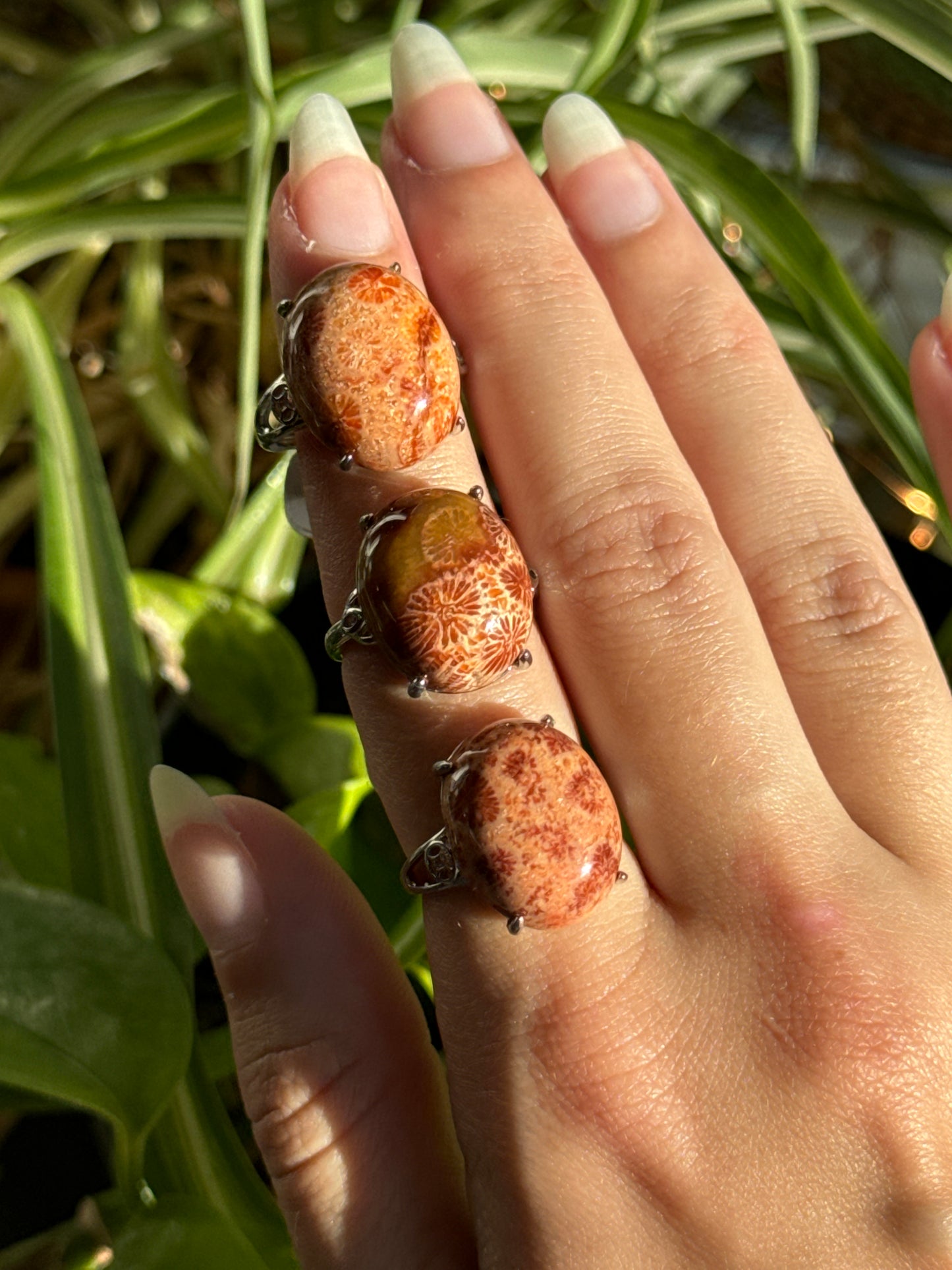 Fossilized Coral Adjustable Ring | You Pick