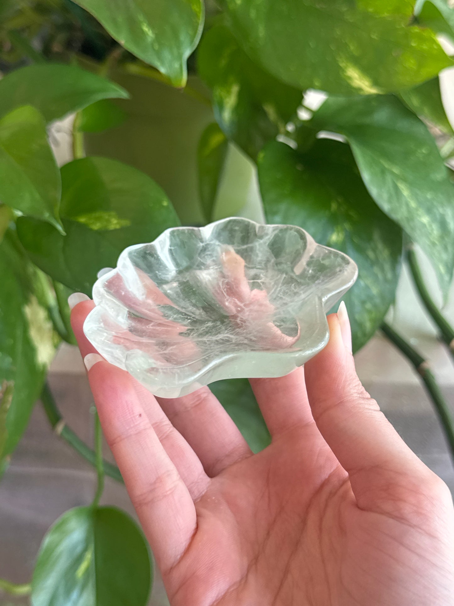 Super Clear Green Fluorite Shell Bowl