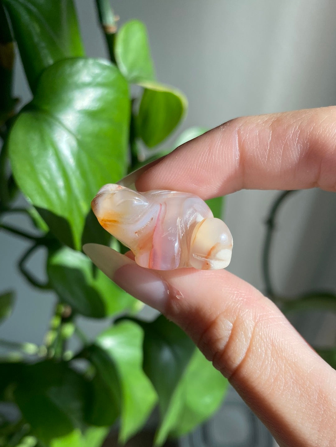 Flower Agate Froggy - Intuitively Picked