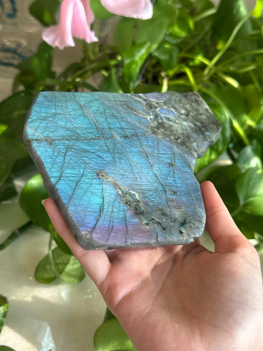 High Flash Electric Blue & Purple Labradorite Slab
