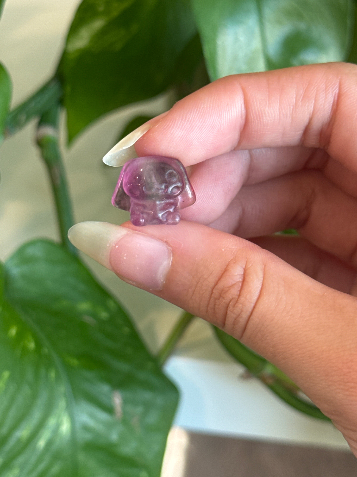 Fluorite Cinnamoroll