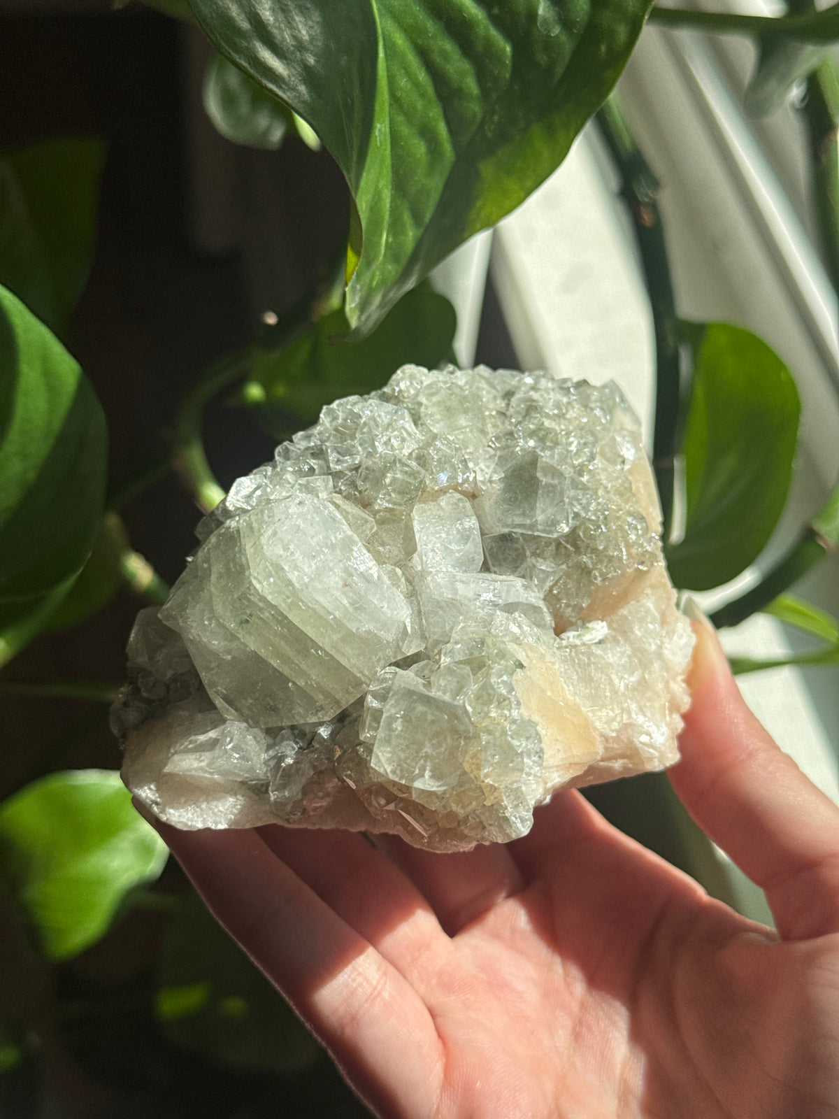 Peach Stilbite and Cubic Apophylite Specimen