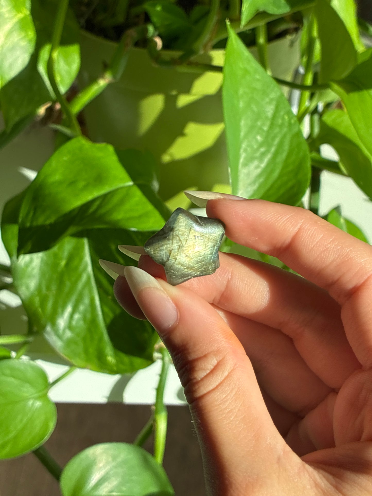 Full Flash Labradorite Imperfect Star
