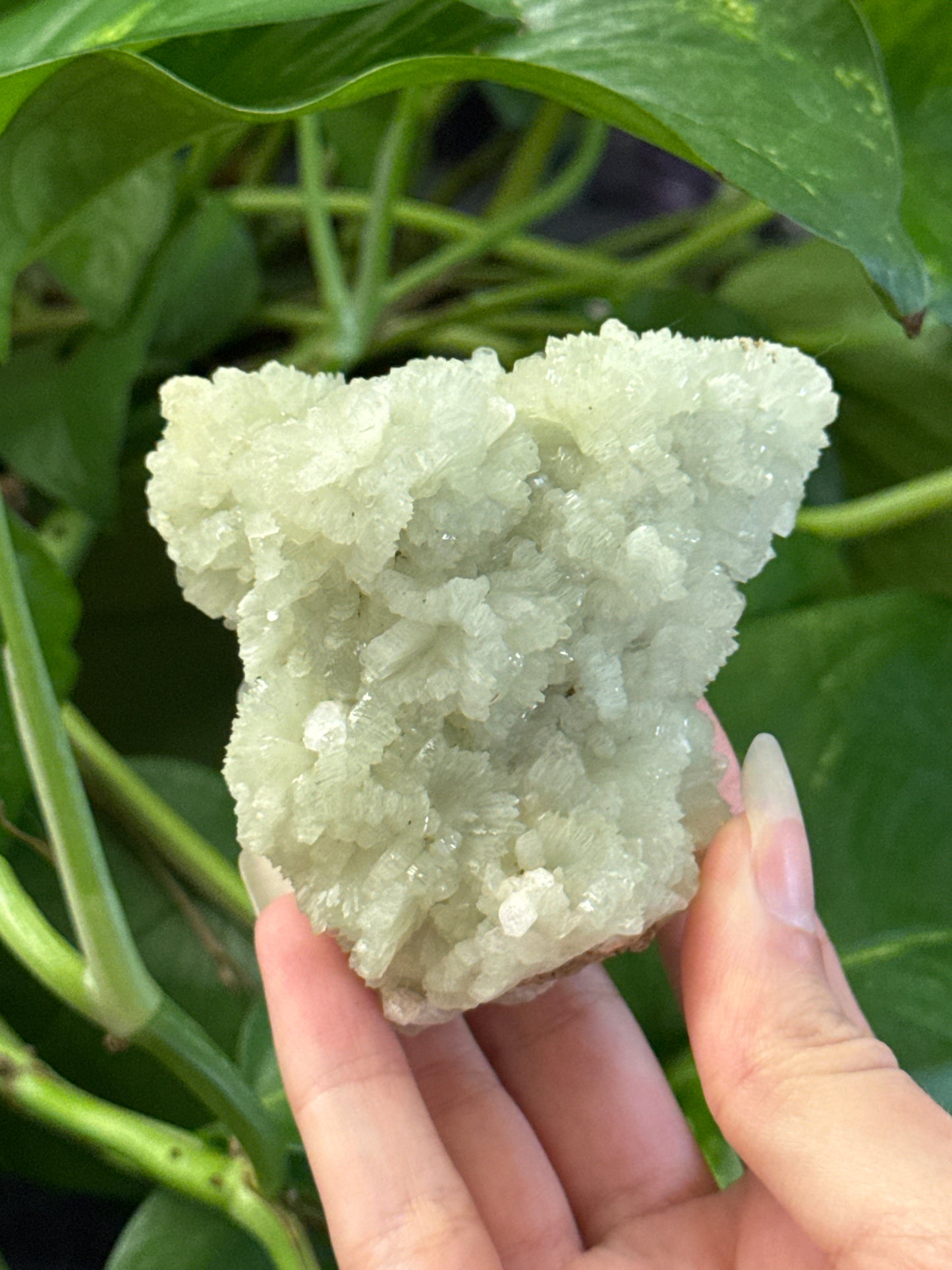 Crystallized Prehnite A