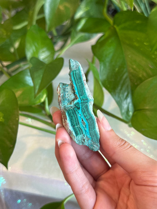 Malachite & Chrysocolla Unique Specimen Slab F