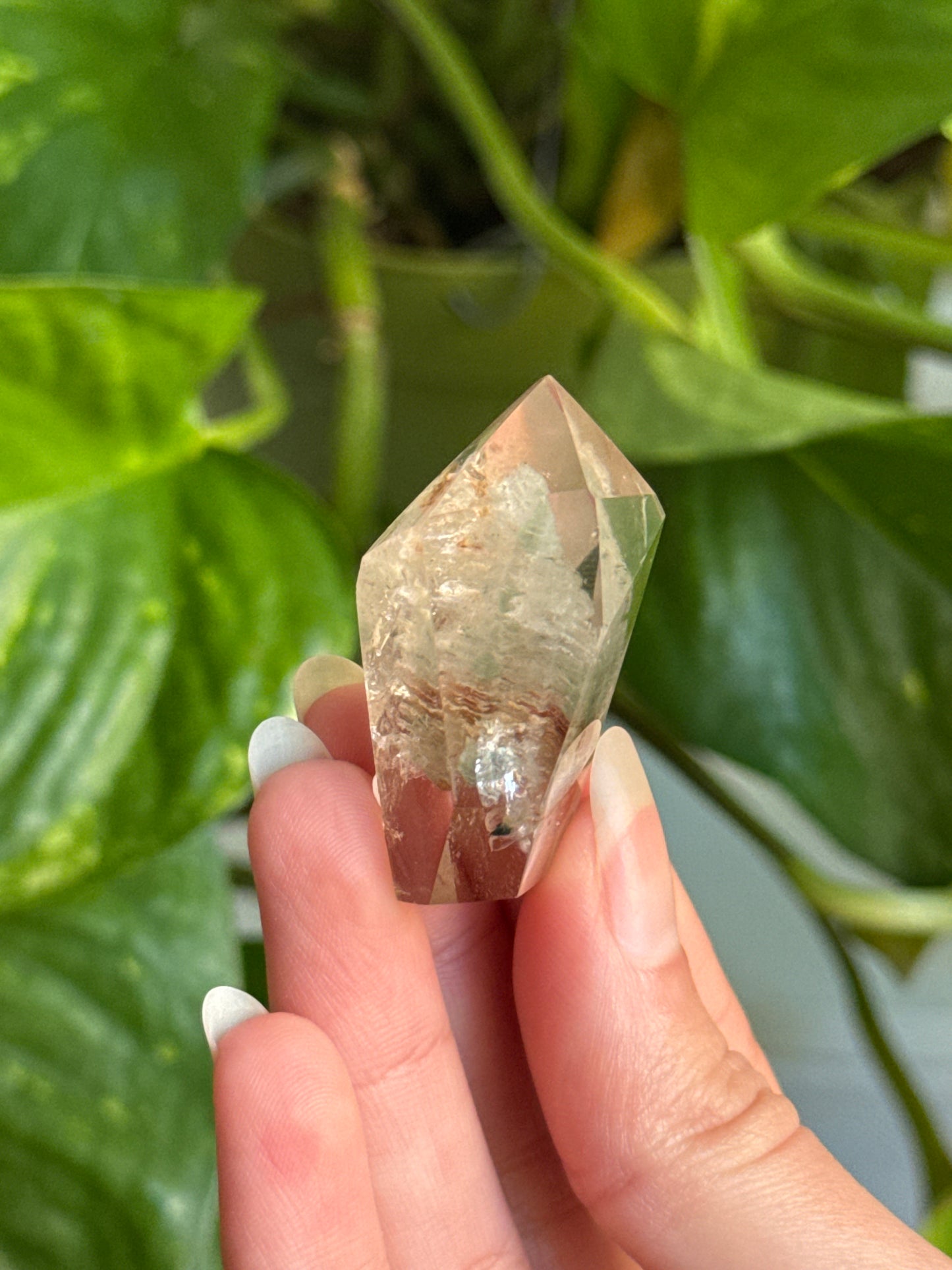 Garden Quartz Point