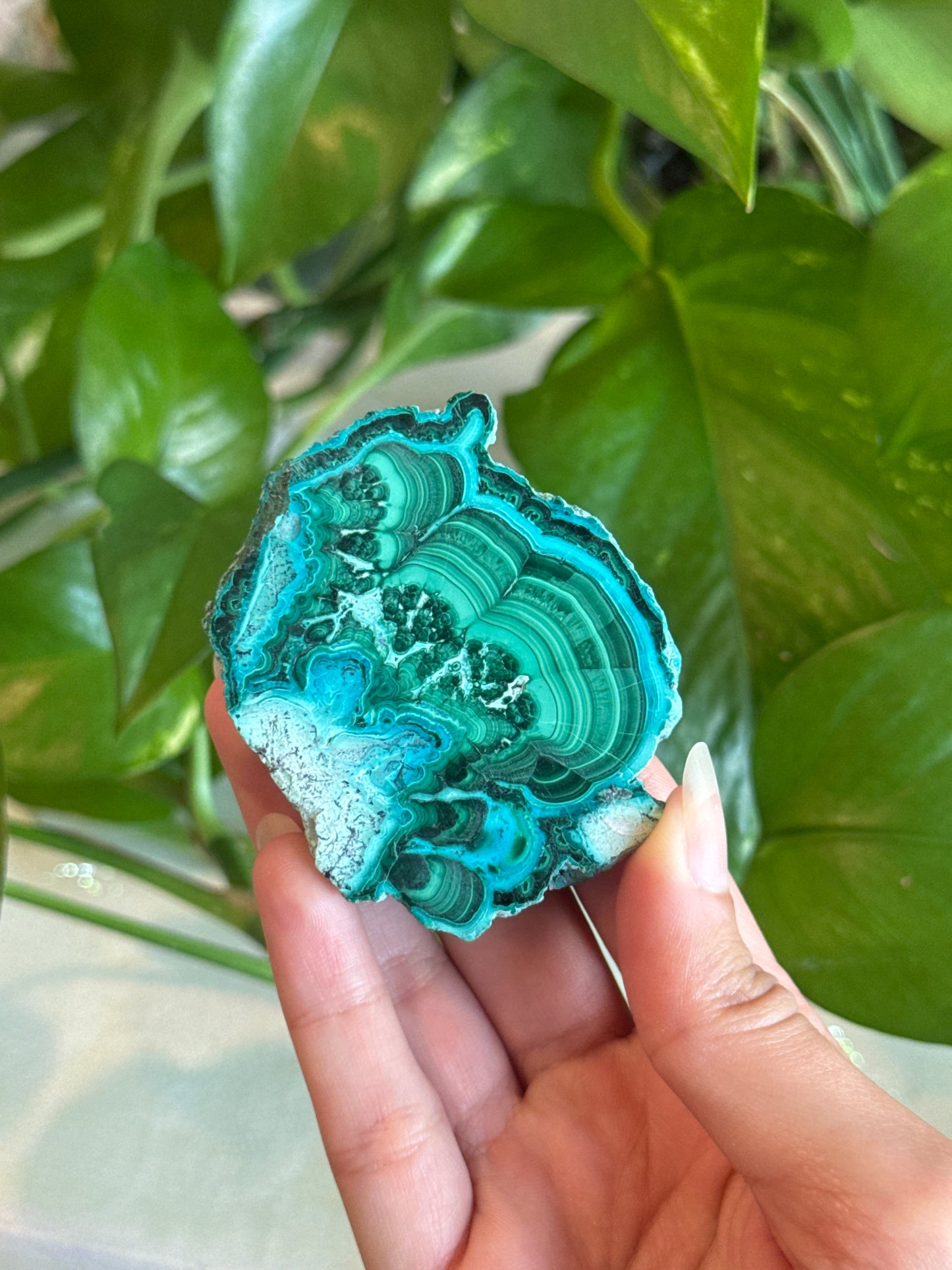 Malachite & Chrysocolla Unique Specimen Slab B