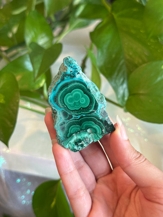 Malachite & Chrysocolla Unique Specimen Slab A