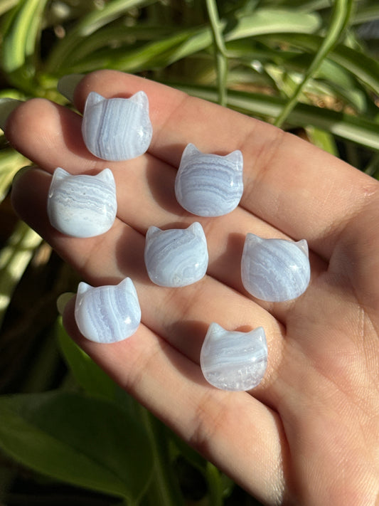 Blue Lace Agate Mini Cat