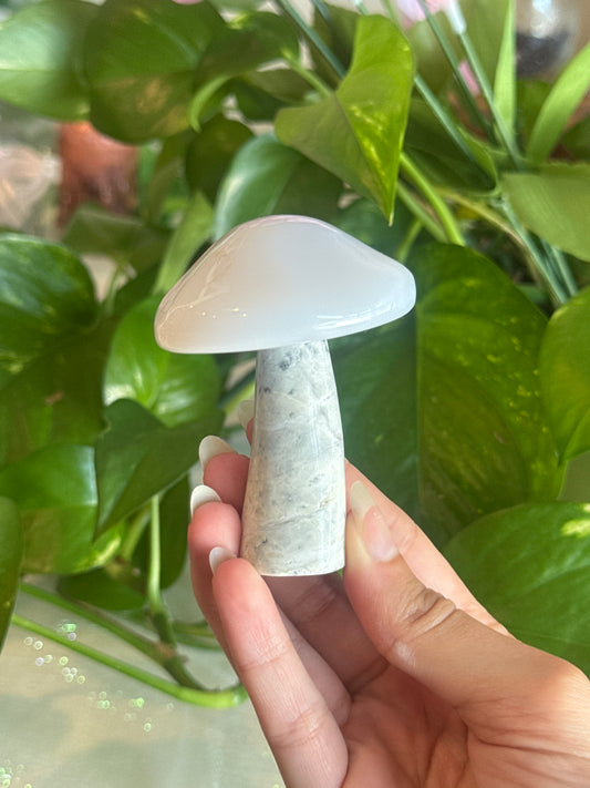 Blue Chalcedony Mushroom