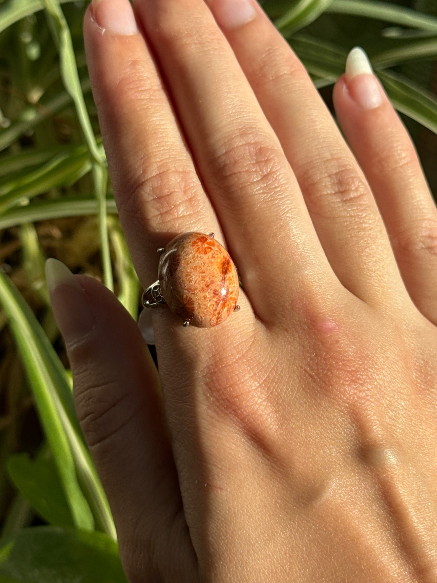 Fossilized Coral Adjustable Ring | You Pick