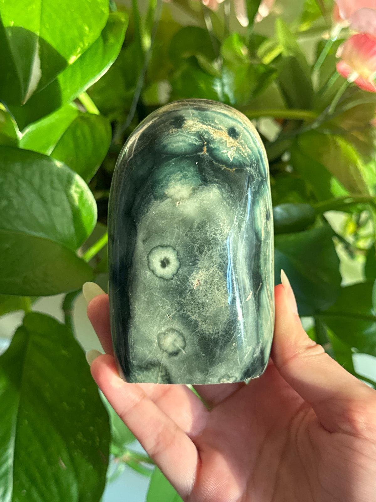 Green Flowering Sea Jasper Freeform