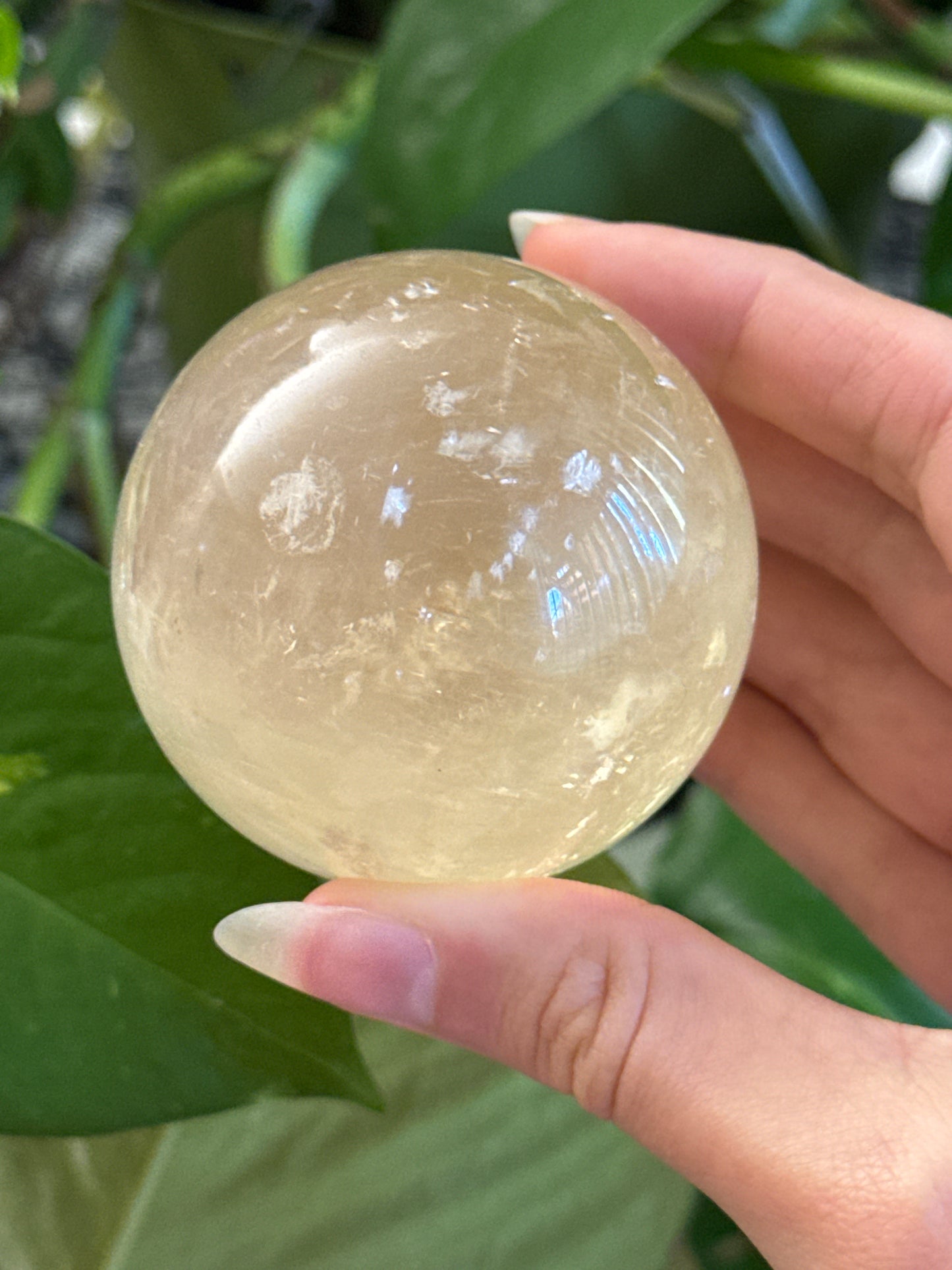 Optical Honey Calcite Sphere 55mm *see vid for rainbows*