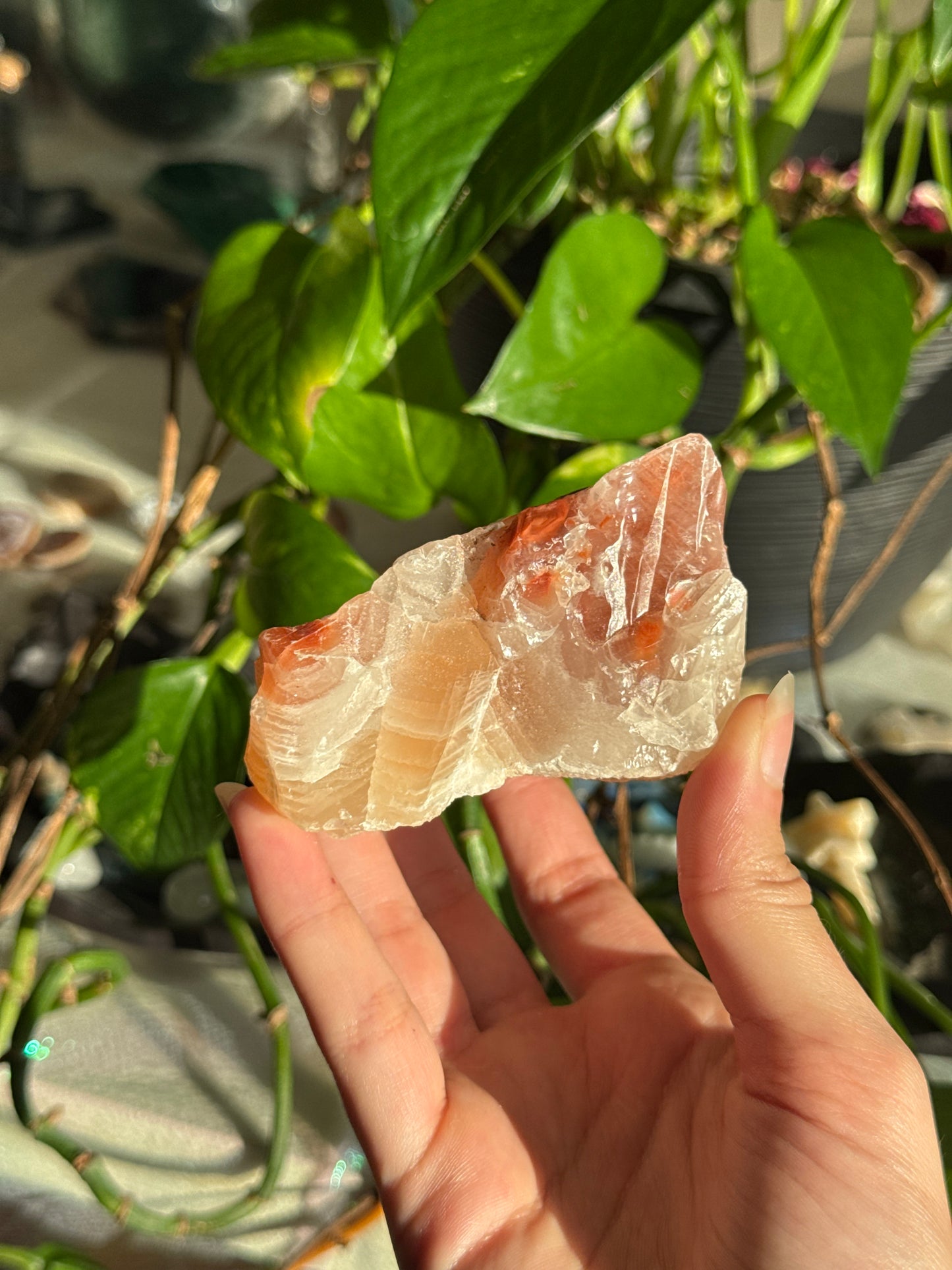 Peachy Banded Tri-Color Mexican Calcite F