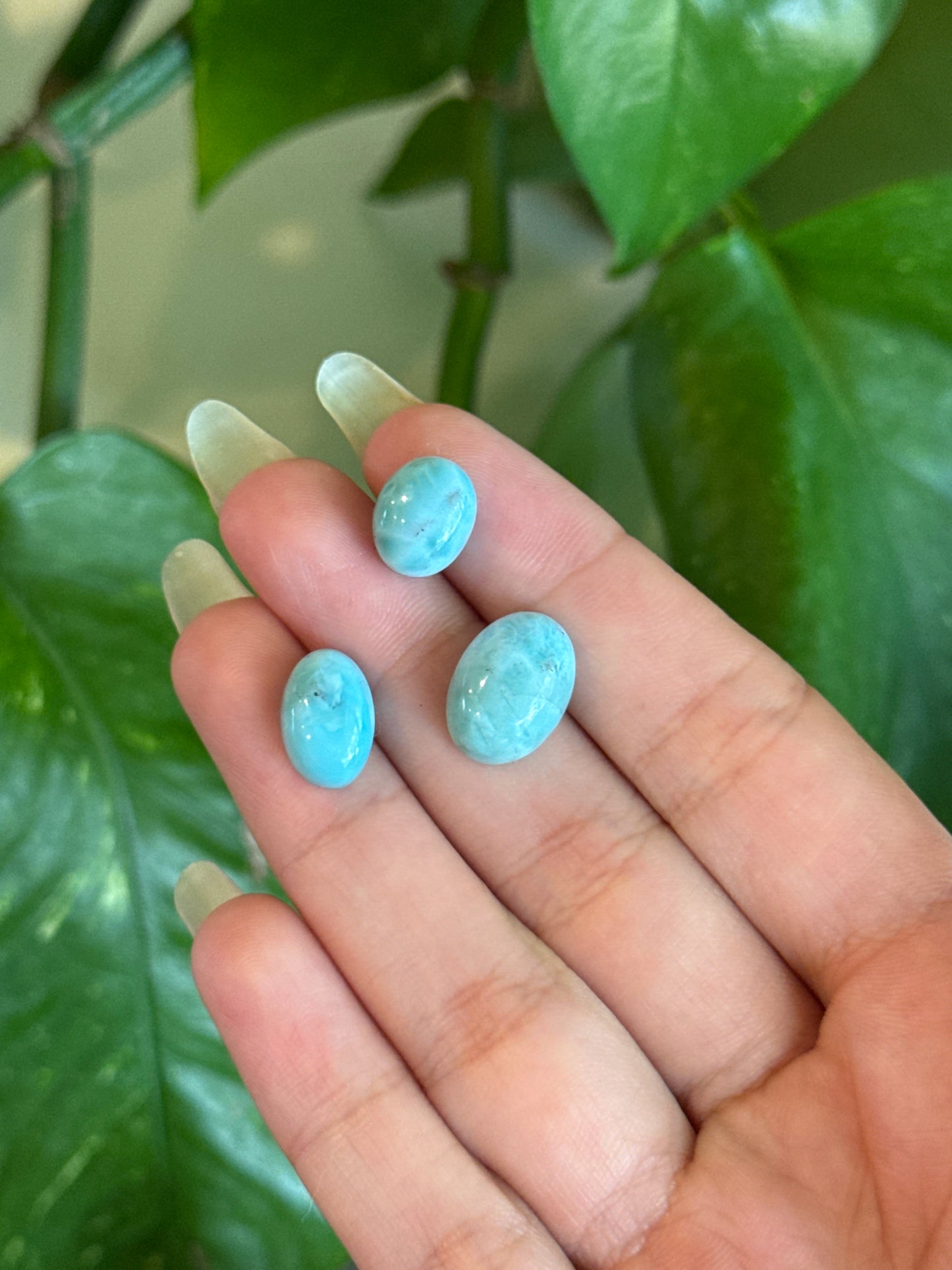 Larimar Cab