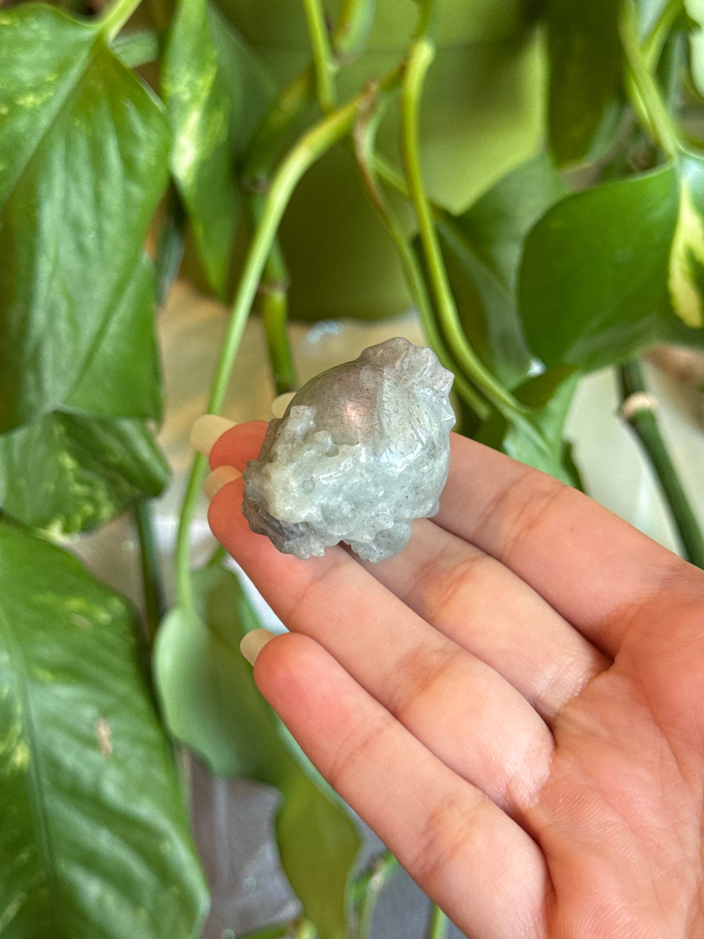 Purple/Orange Flash Labradorite Mini Money Dragon for Attracting Wealth & Abundance