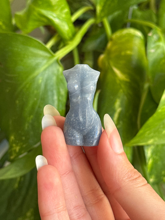 Sodalite Goddess Body