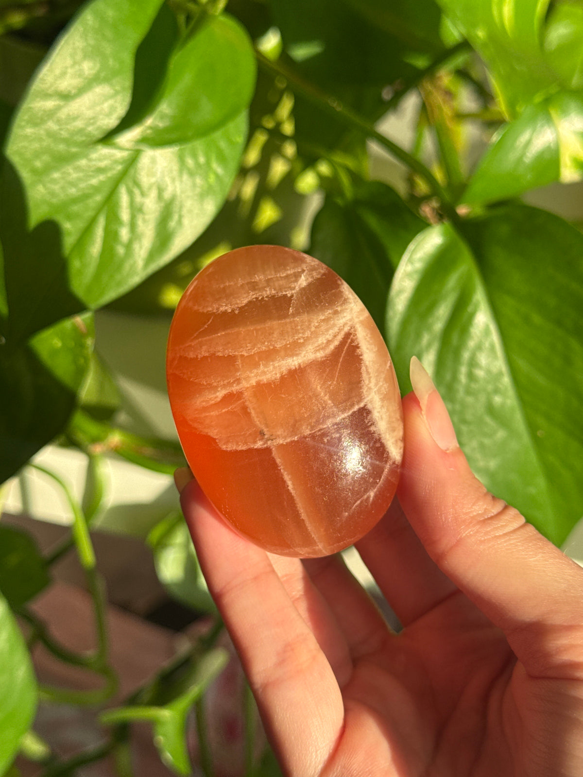 Juicy Orange Calcite Palm Stone A