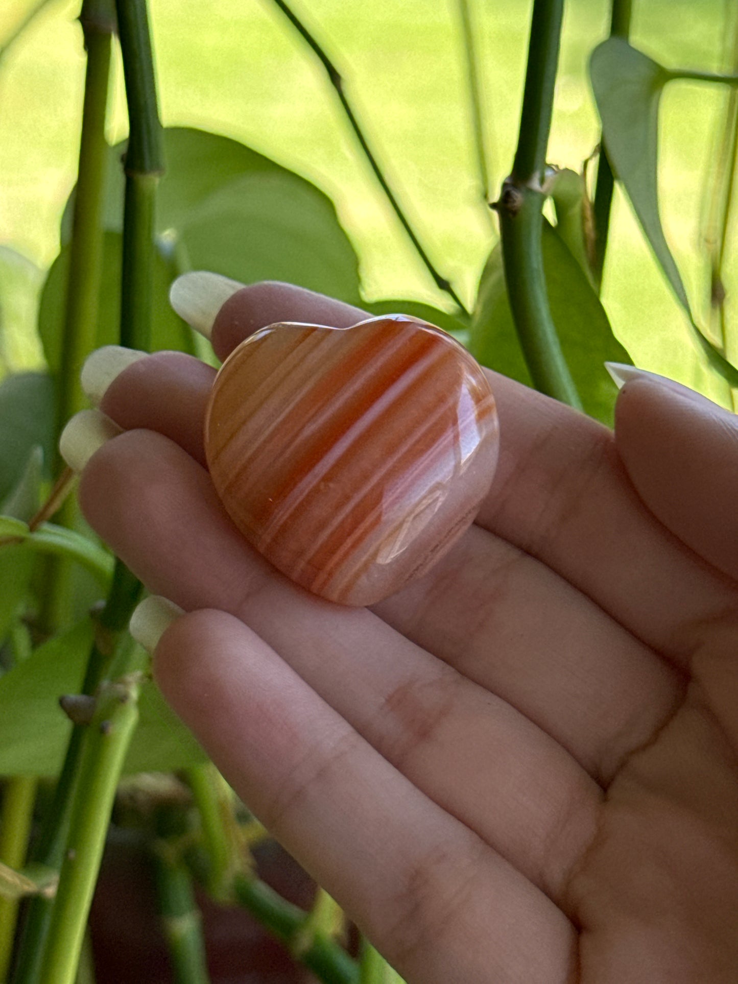 Carnelian Heart