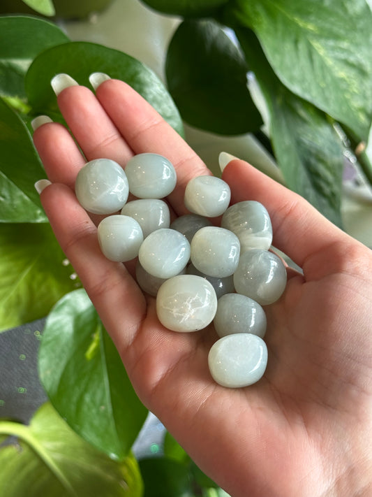 Small Sage Moonstone Tumble