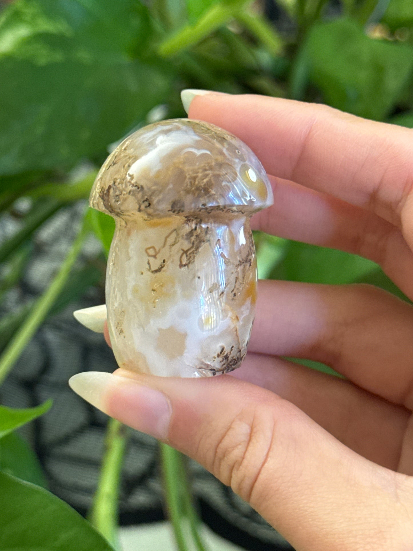Unique Druzy Agate Mushroom with Moss Agate Inclusions