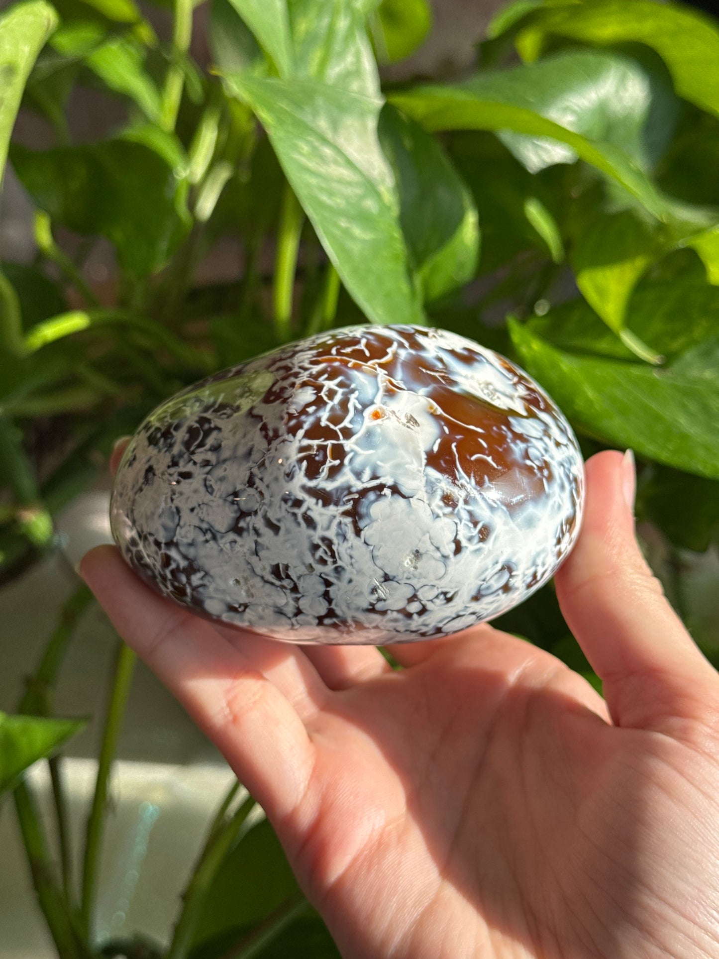 Unique Carnelian & ‘Flower’ Orca Agate Large Freeform