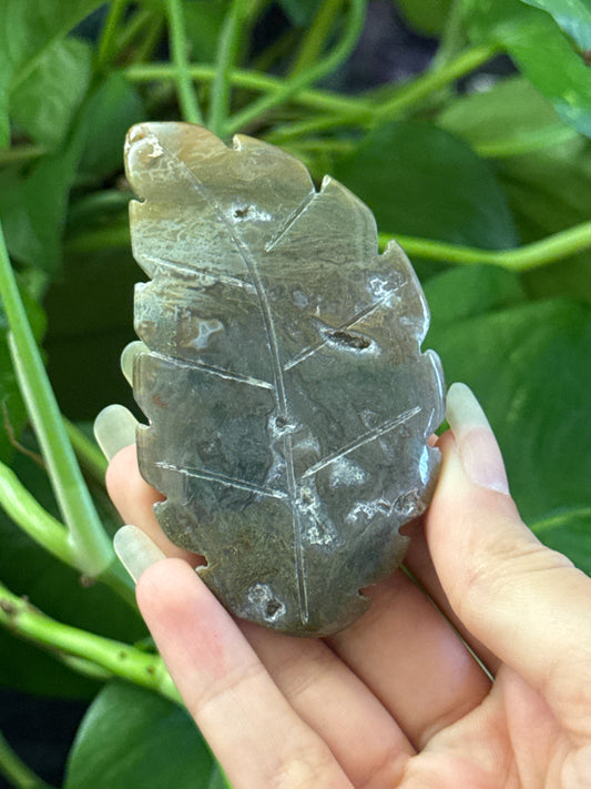 Moody Moss Agate Leaf