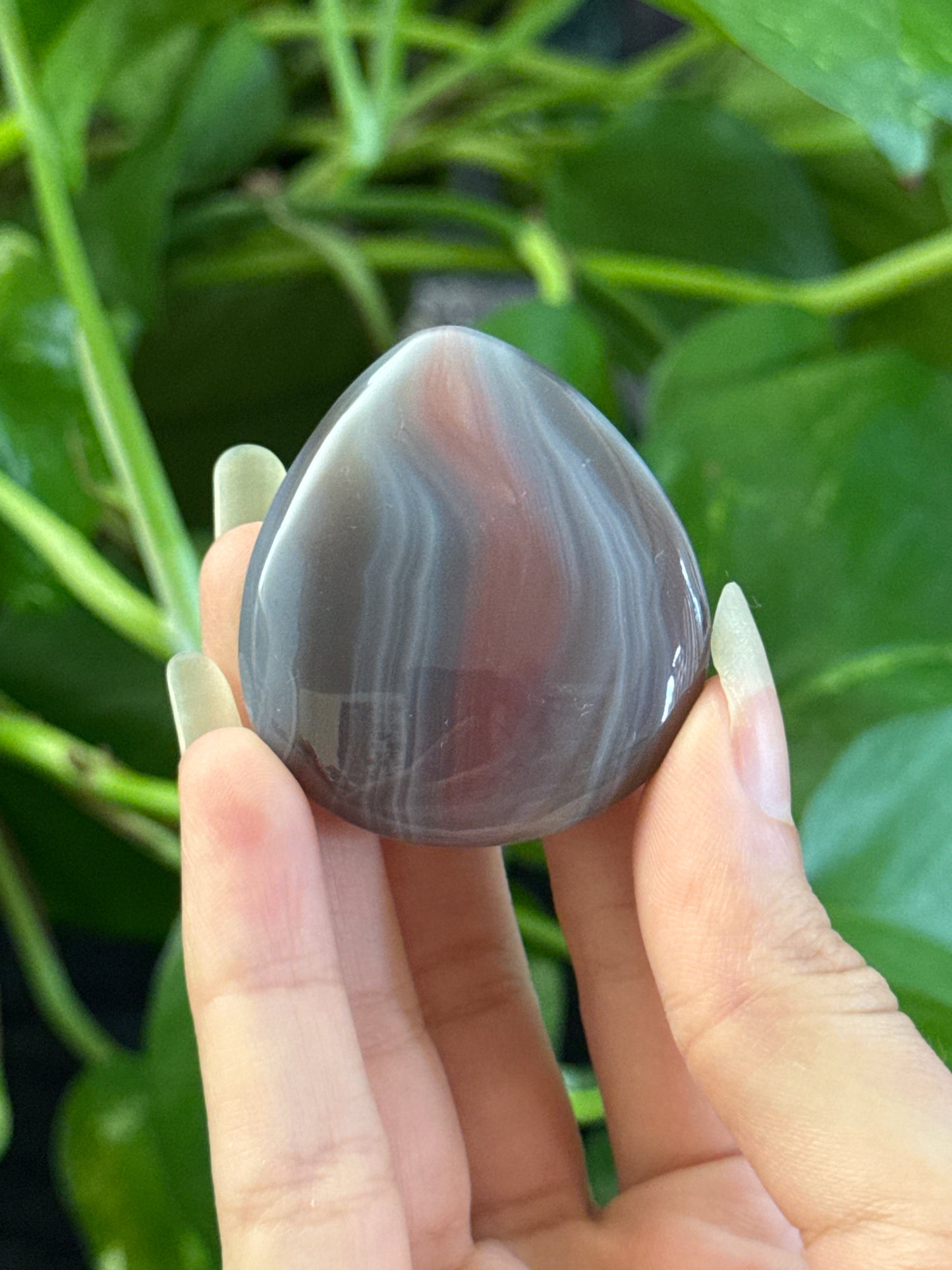 Botswana Agate Teardrop