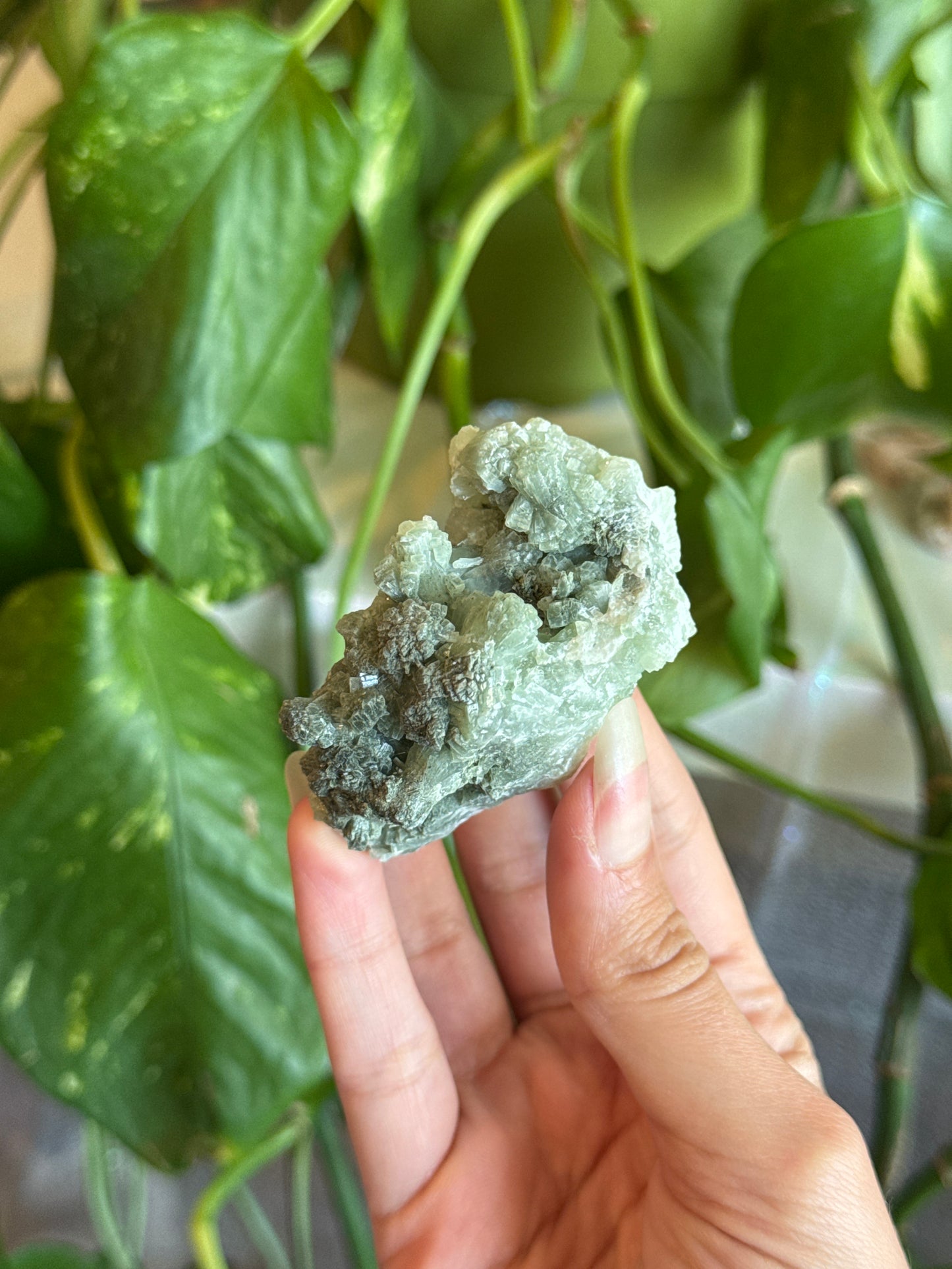 Color Gradient Crystalized Prehnite Specimen Cluster