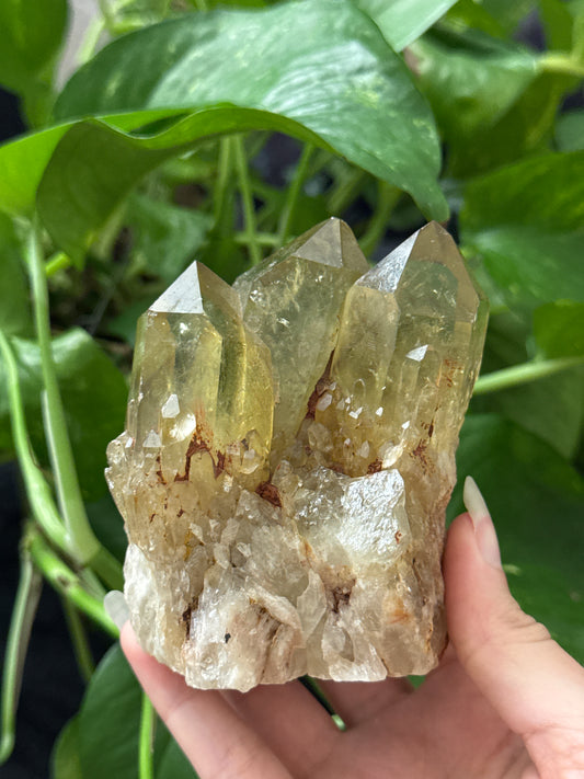 Natural Congo Citrine Specimen B