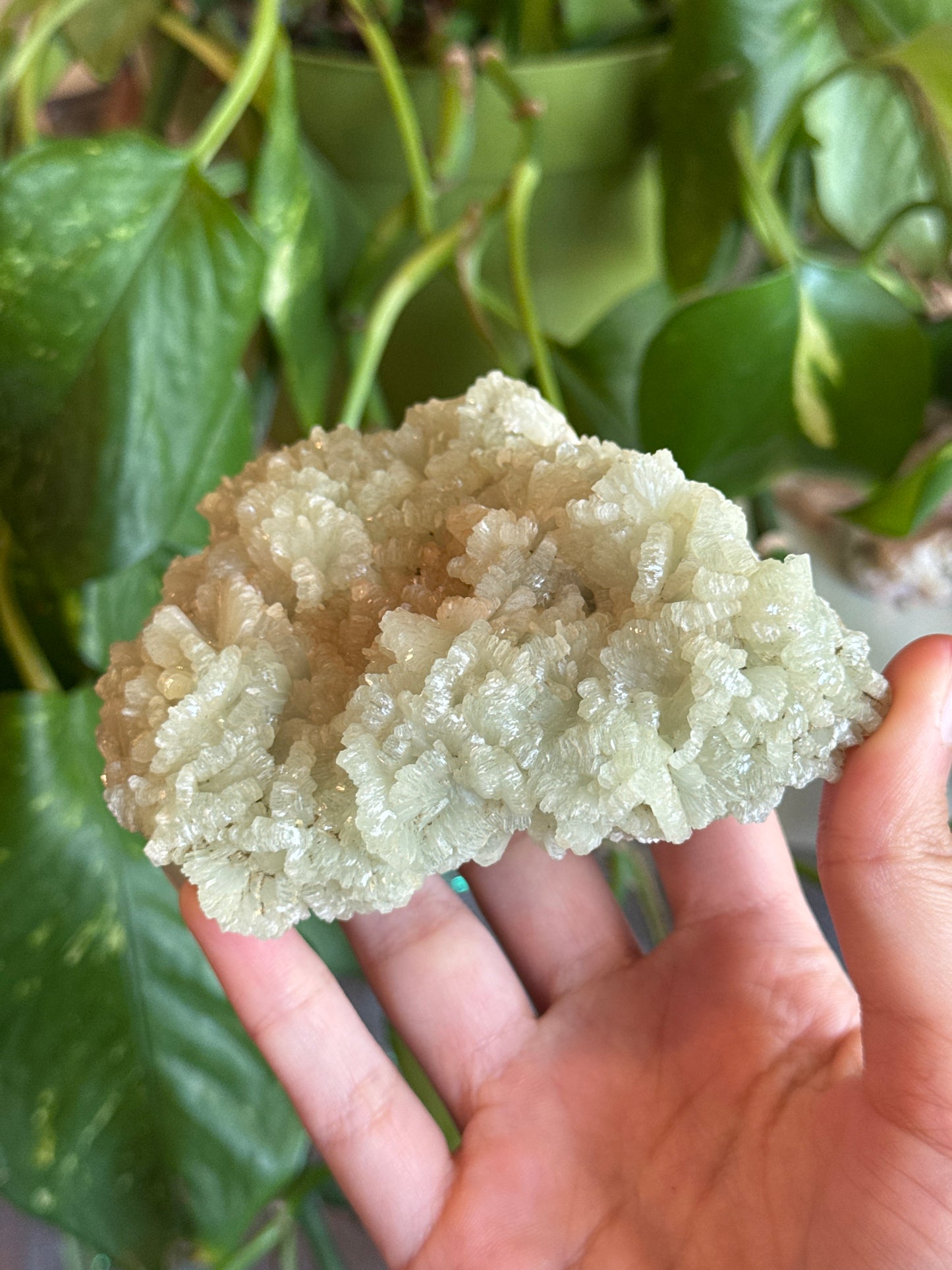 Crystalized Green & Orange Prehnite Specimen Cluster