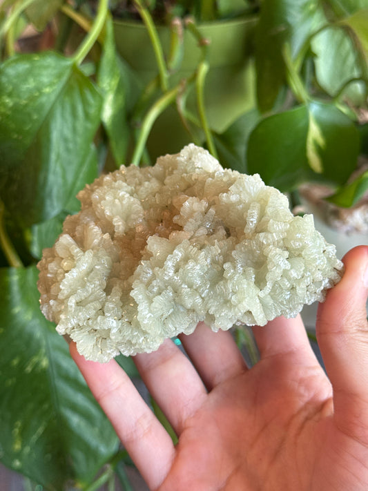 Crystalized Green & Orange Prehnite Specimen Cluster