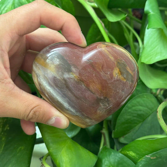 Rainbow Petrified Wood Heart
