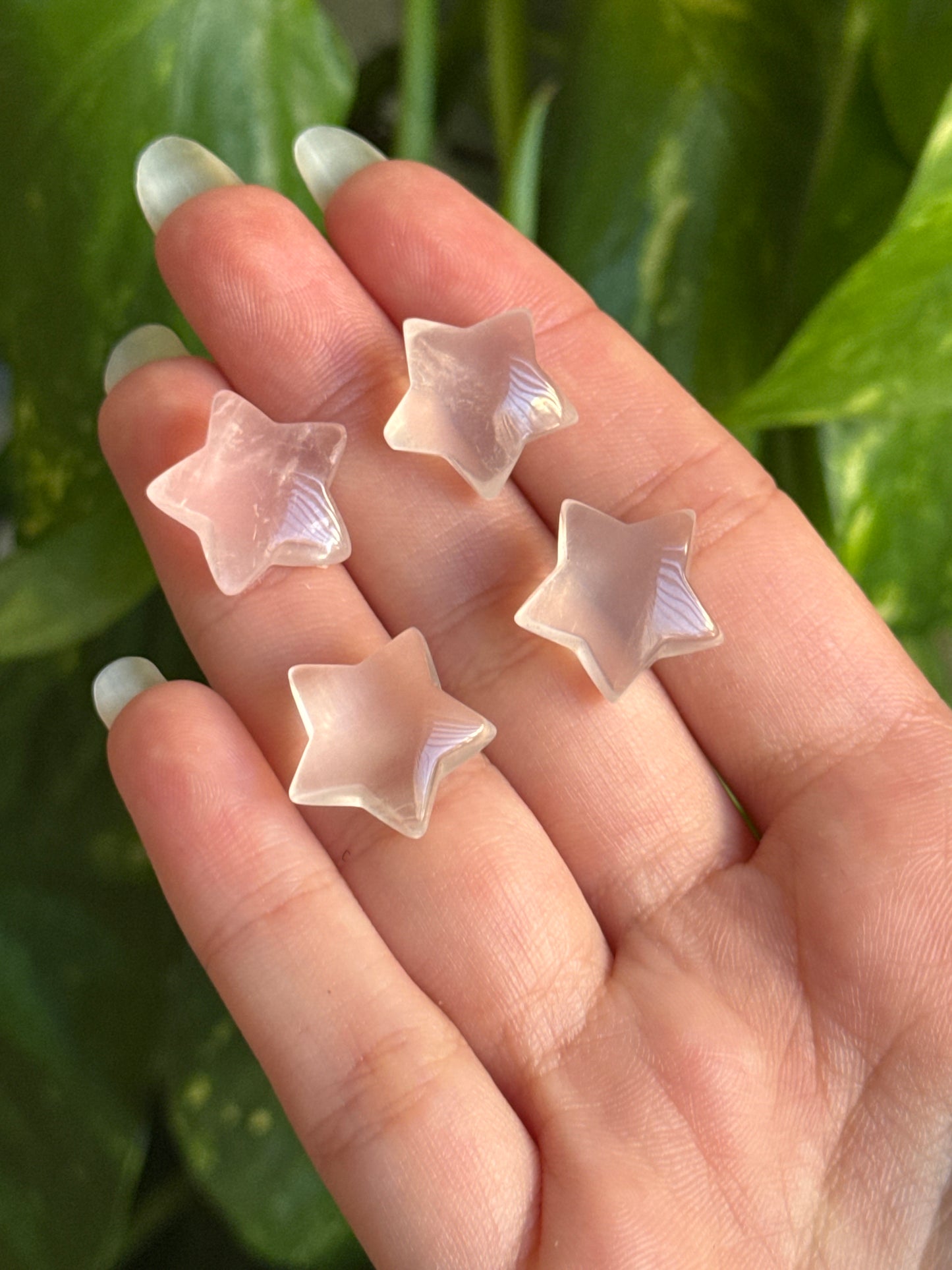 Star Flash Rose Quartz Star