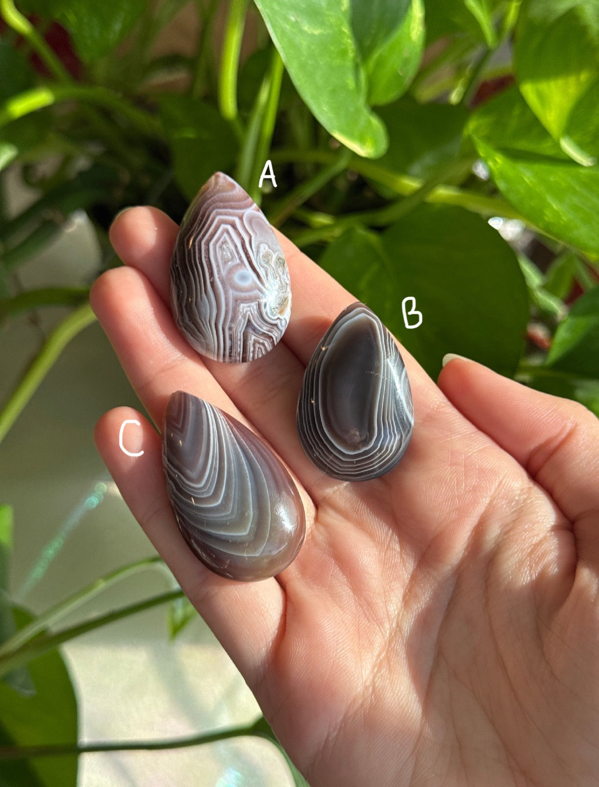 Botswana Agate Teardrop | You Pick