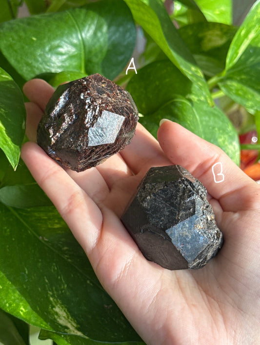 Raw Garnet Specimen | You Pick