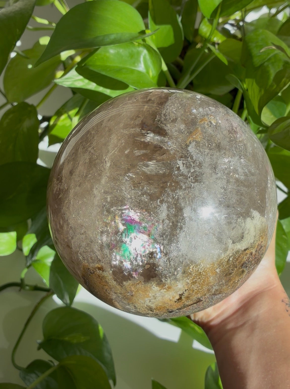 XL Statement Smokey Garden Quartz Sphere with insane Sparkles & Rainbows