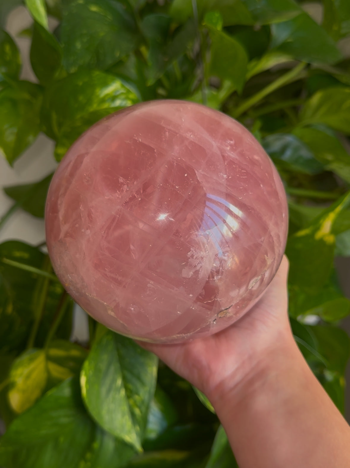 Statement 155mm Star Flash Rose Quartz Sphere