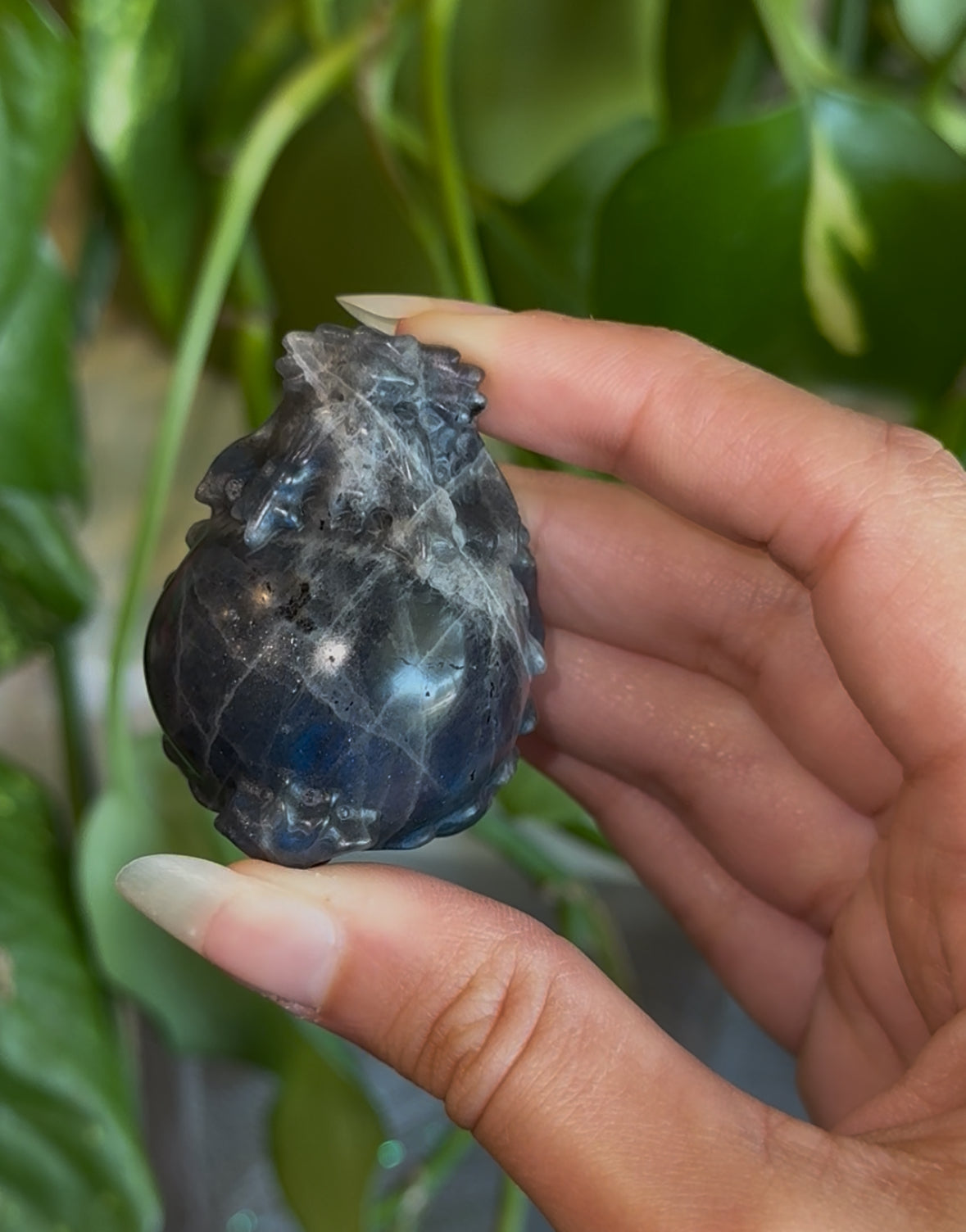 Small Money Dragon Labradorite Deep Cobalt Blue Flash for Attracting Wealth & Abundance