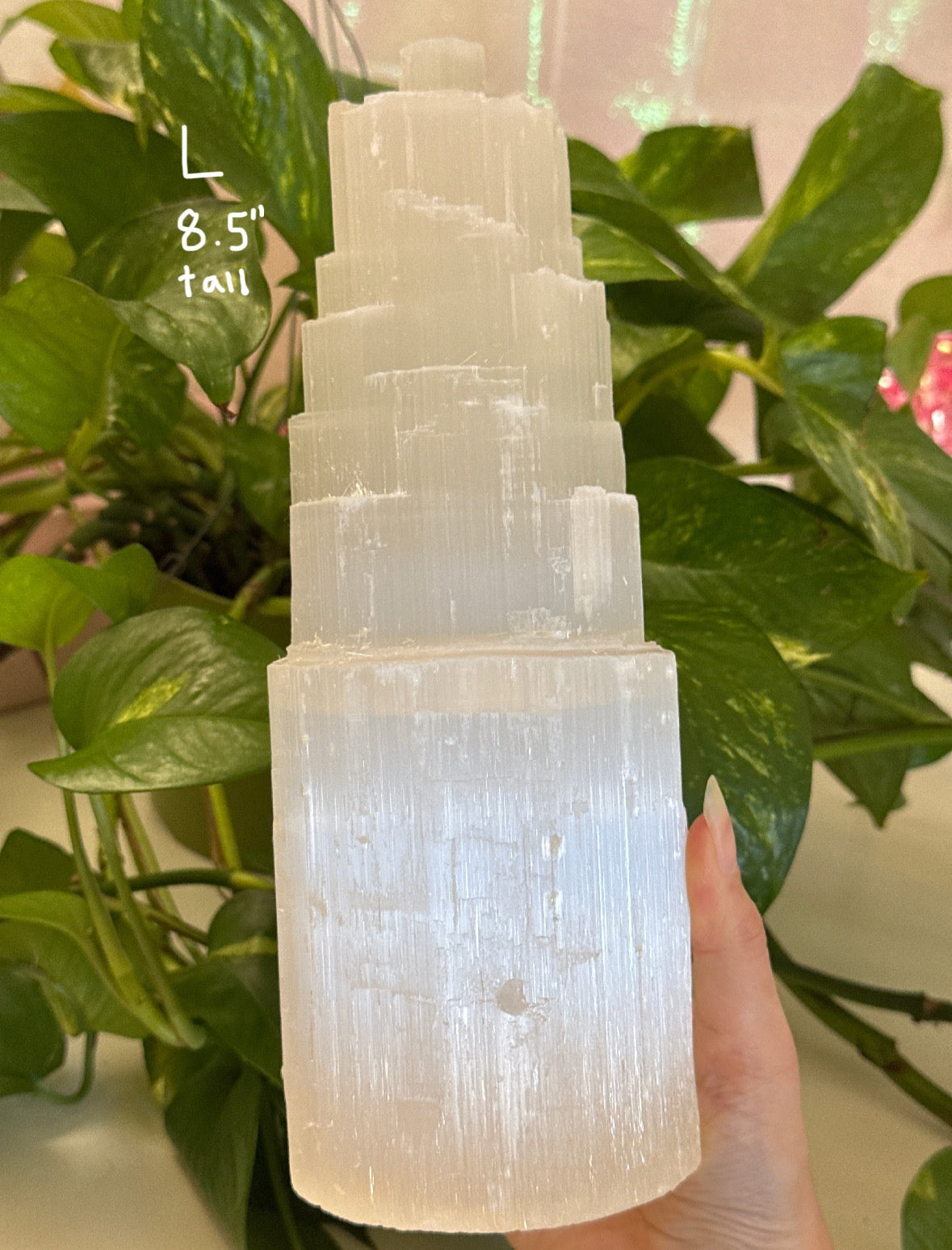 Selenite Cozy Lamp | You Pick Size