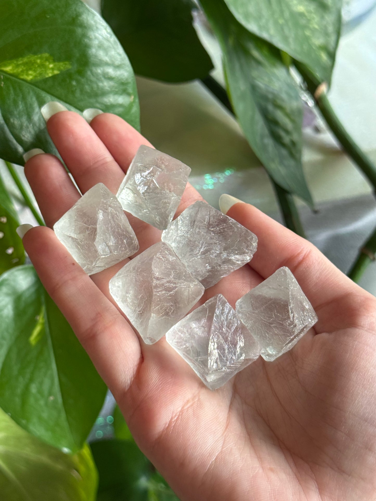 Fluorite Diamonds Large