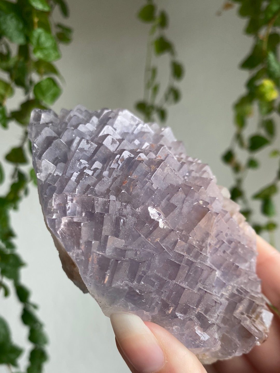 Unique Statement Cubic Fluorite