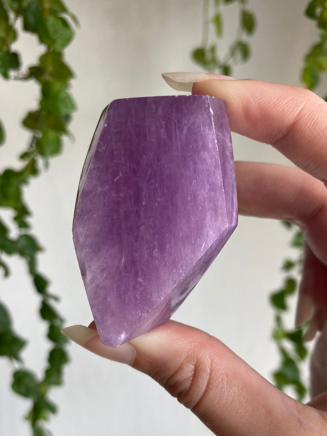 High Grade Kunzite Freeform