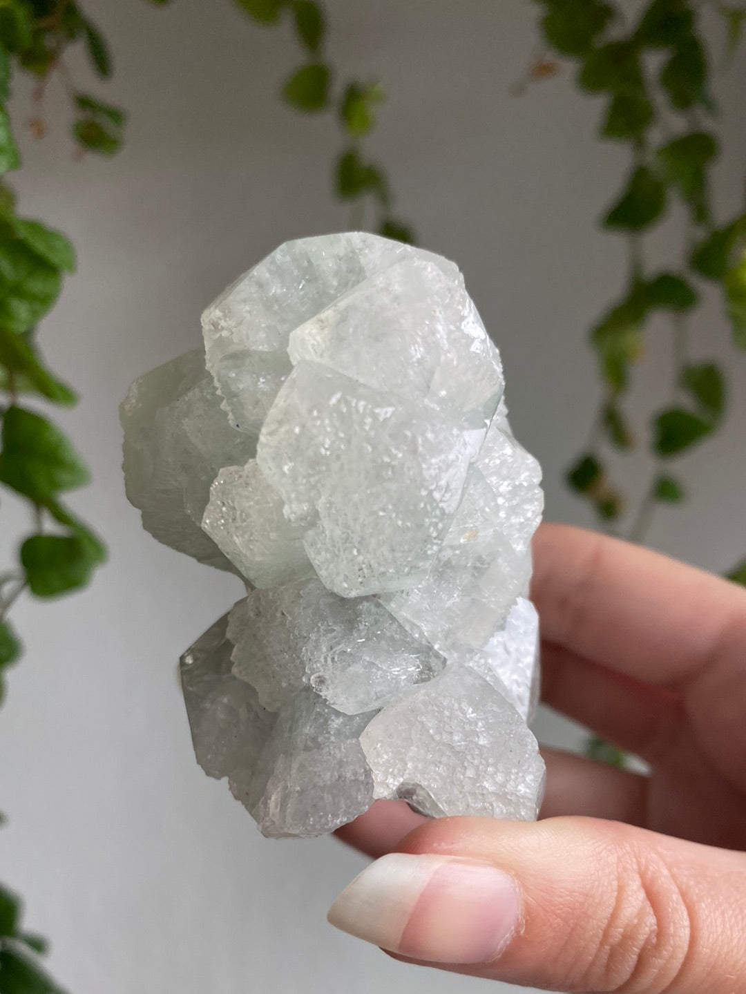 High Quality Apophyllite Specimen