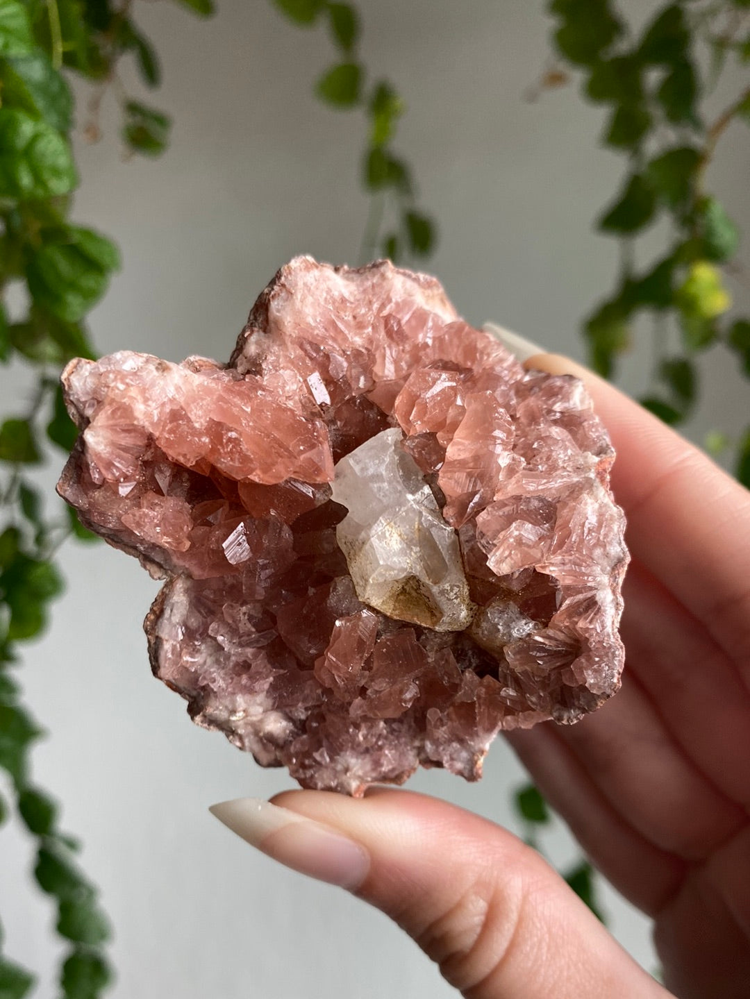 High Quality Pink Amethyst Geode With Calcite
