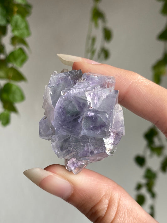 High Quality Fluorite Specimen E